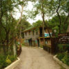 Woody Ville Garden